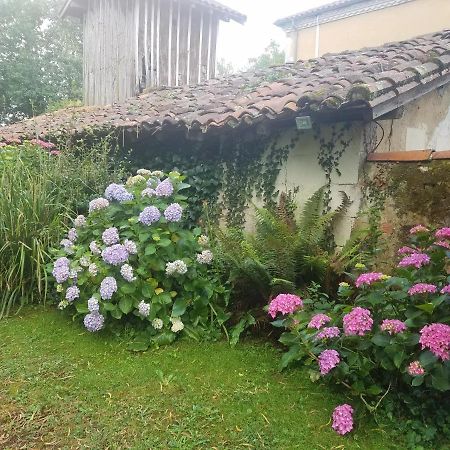 Gite Matilon, 5 Min Eugenie Les Bains Buanes Zewnętrze zdjęcie